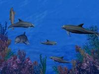 Spo�i� obrazovky�� screensaver